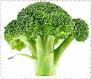 Fresh Natural Green Broccoli