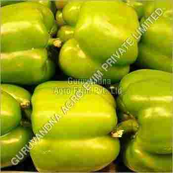 Fresh Green Pepper