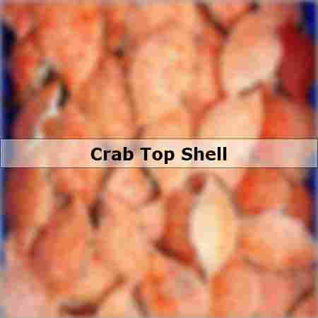 Crab Top Shell