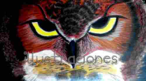 Owl Illustration Painting