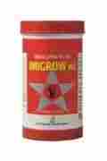 Insecticide- Imidacloprid 70% WS