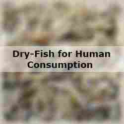 Dry-Fish for Human Consumption