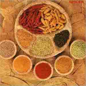 ARUN Spices & Seasonings