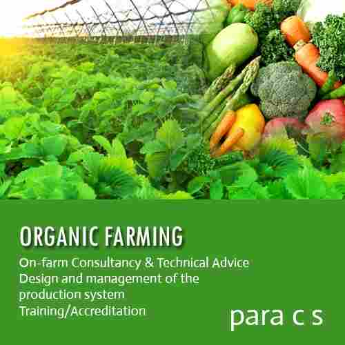 Farm Consultancy Services