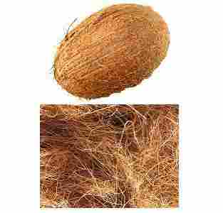 Coconut & Coconut Fiber