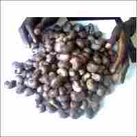 Raw Cashew Nut with Shell