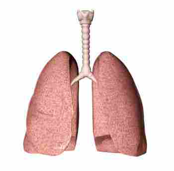 Asthma Treatment Ayurveda