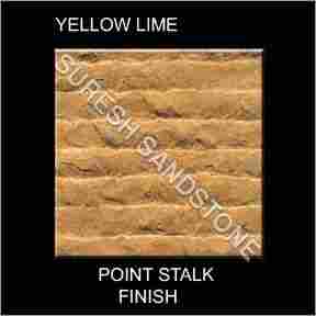 Point Stalk Sandstone