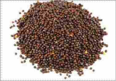 Impurities Free Mustard Seeds