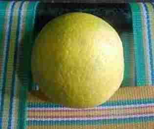 Fresh Sweet Lemon Fruit