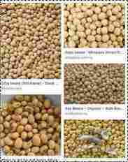 High Nutritional Value Soybeans Seeds