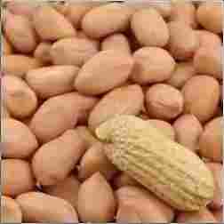 Rich in Protein Peanut 