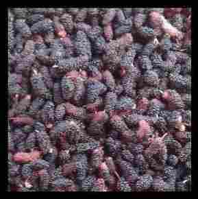 Natural Frozen Mulberry