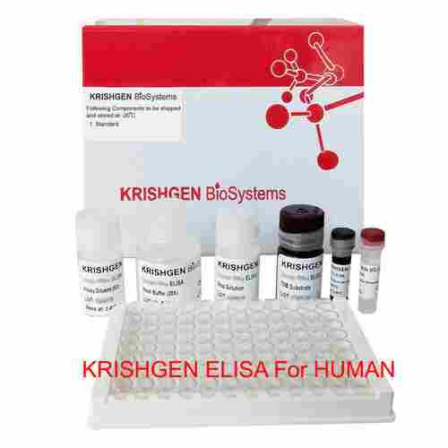 Human Surfactant Protein D