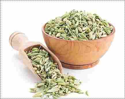 Highly Nutritious Fennel Seeds