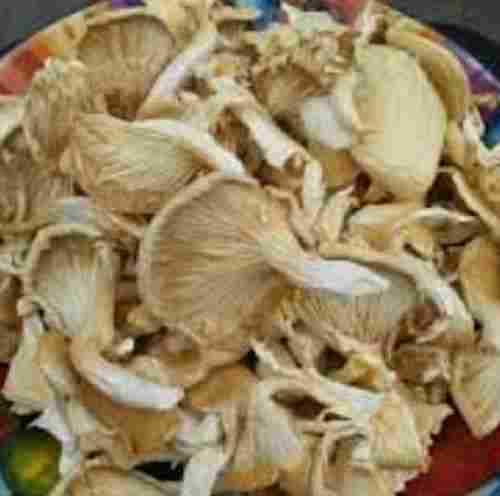 Pure Dried Oyster Mushroom