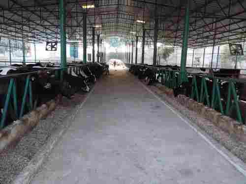 Dairy Farm Prefabricated Shed
