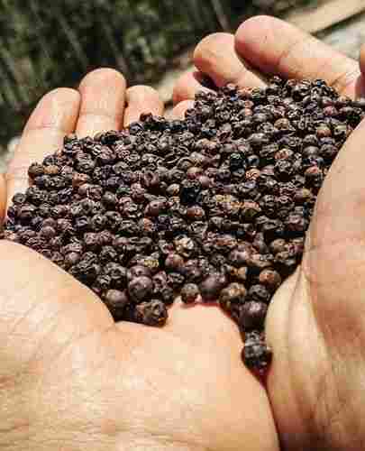 Natural Black Pepper Seed