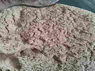 Natural Dried Sawdust Powder