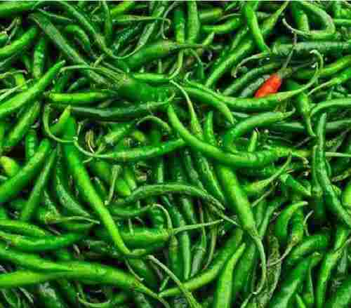  High Nutritive Value And No Preserve Green Chilly