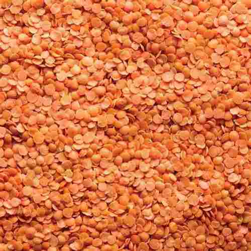Desi Organic Dried Lal Red Lentil Split Masoor Dal