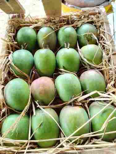Chemical Free Natural Ratnagiri Mangoes
