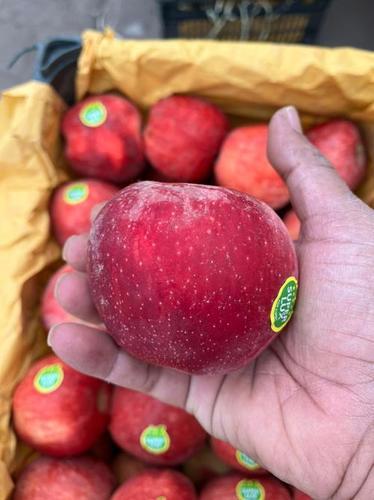 Red Rich Taste Natural Fresh Apple