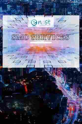 SMO Services In Delhi