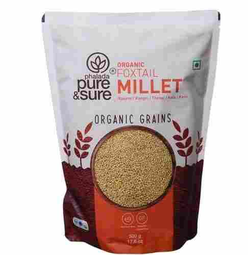 Gluten Free Non GMO Organic Whole Foxtail Millet - Kangni (500 Gram Pack)