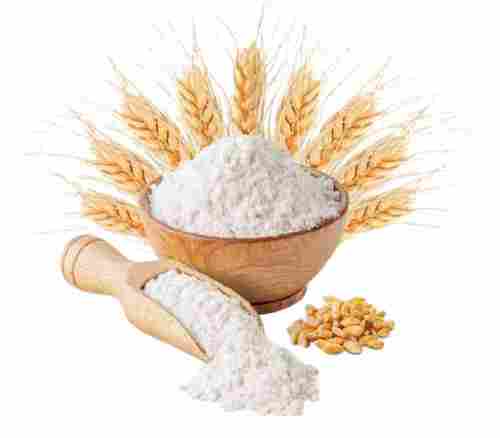 Indian Wheat Flour For Making Chappaties