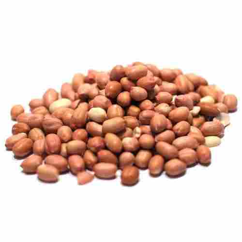 Dried Rich in Protein Peanut Kernels with 7% Maximum Moisture 