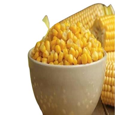 Animal Feed Grade Yellow Corn Seeds Grade: A