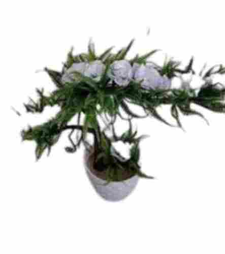 Decorative Artificial Plant For Home And Office 
