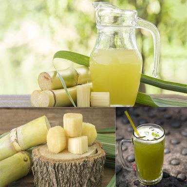 100% Pure Fresh Nutritent Enriched Chemical-Free Tasty Sugarcane Juice Packaging: Plastic Bottle