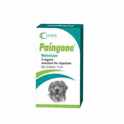 Veterinary 10 Ml Paingone Meloxicam Injection