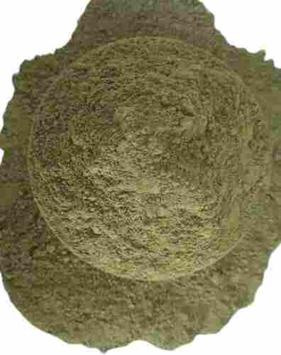 Dried Coriander Leaves Powder
