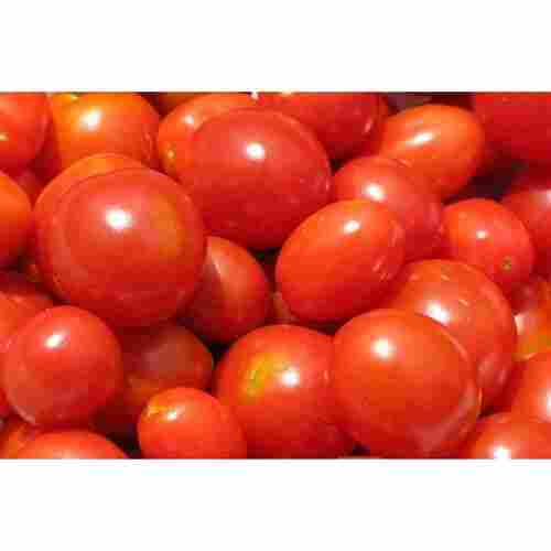 Healthy And Farm Fresh Raw Processed Round Shaped Juicy Red Tomato, 1 Kg