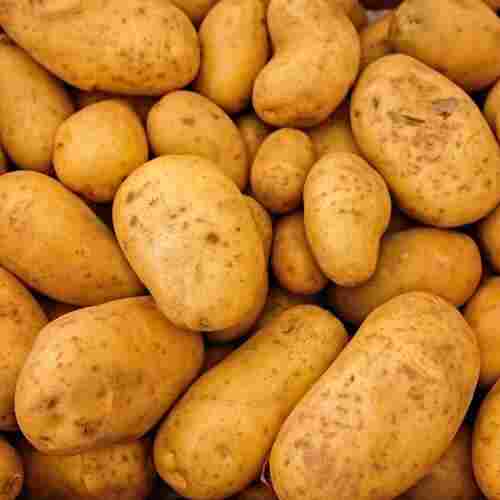 Brown Color Round Shape 0 Gram Fat 100 Percent And Natural Fresh Potato 
