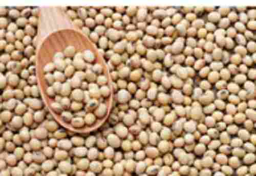 A Grade Soya Bean With High Nutritious Value And Rich Taste
