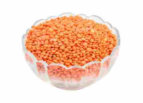 Commonly Cultivated Protein Rich Dried Whole Masoor Dal 