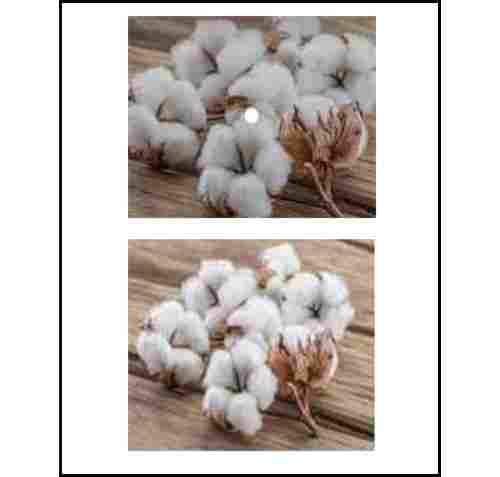 Eco Friendly White Color High Grade Cotton Waste