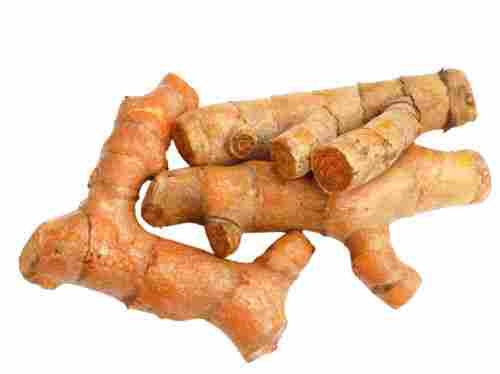 100% Pure And Natural Original Flavor Indian Origin Raw Turmeric Root 