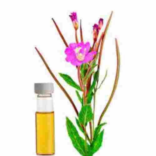 100% Pure Natural & Undiluted For Skin Care And Hair Palmarosa Essential Oil