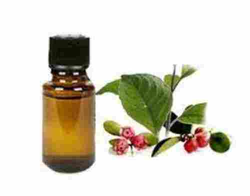 Naturally Extract Of Wintergreen Flavourful Aroma Featured Wintergreen Oil 