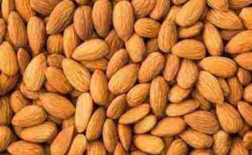 100% Natural And High Nutritious Almond