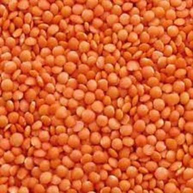Organic Naturally Processed Excellent Quality Unpolished Split Masoor Dal/Red Lentils 