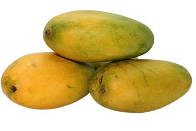 Yellow Pure And Natural Commonly Cultivated Fresh Raw Whole Mango