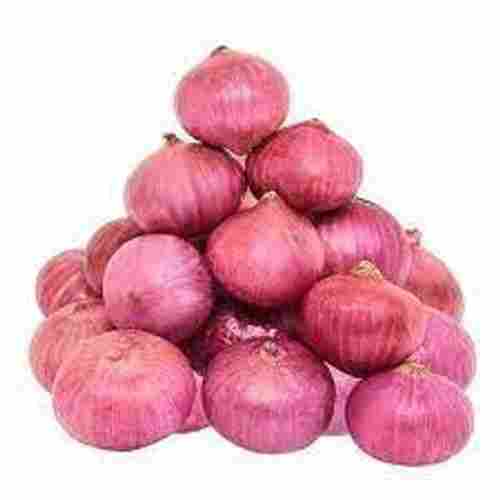 Healthy And Natural Premium Grade Fresh Raw Round Shaped Red Onions, 1 Kg 