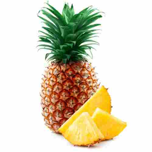 Anti Inflammatory Juicy Digestive Tropical Taste Fresh Pineapple Fruit
