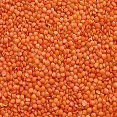 Dried Commonly Cultivated Round Shaped Splited Red Masoor Dal, 1 Kg Pack